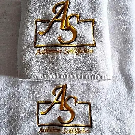 Astheimer Schloesschen Hotel 3*